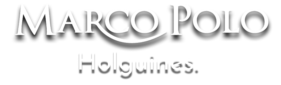 Logo Marcopolo